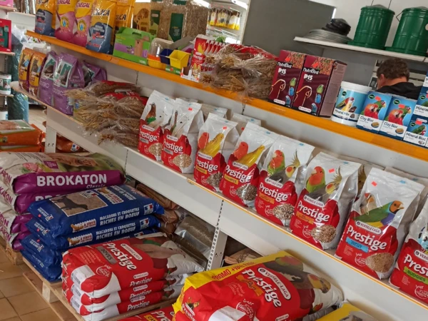 Aliments pour volailles